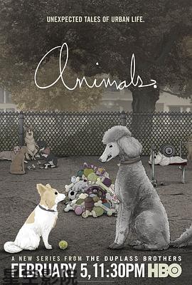 纽约屁民第一季