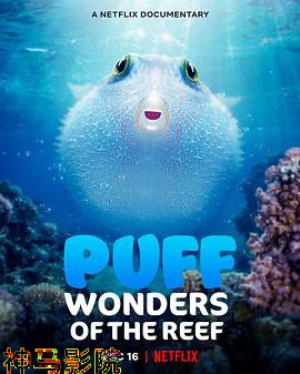 河豚之家：神奇的珊瑚礁