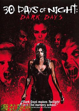 三十极夜2：黑暗的日子