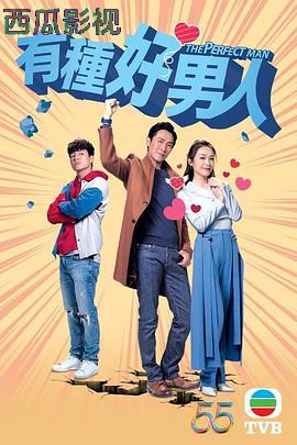 有种好男人粤语