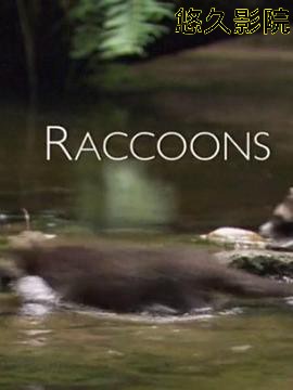 浣熊：新欧洲人