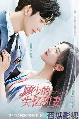 顾少的失忆甜妻