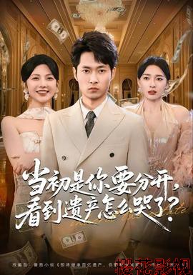 当初是你要分开，看到遗产怎么哭了？