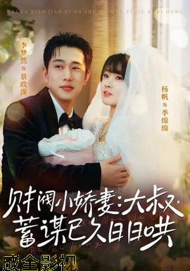 财阀小娇妻大叔蓄谋已久日日哄