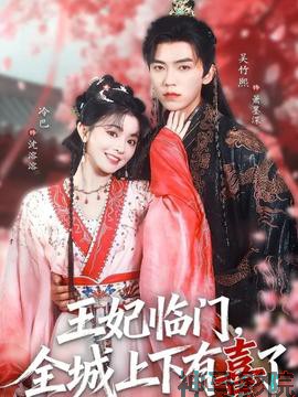 王妃临门全城上下有喜了