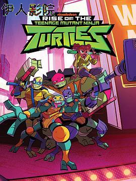 忍者神龟：崛起