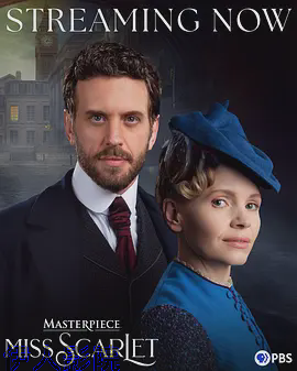 斯嘉丽小姐探案集第六季